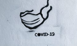 adam-niescioruk-Z9arfr0f248-unsplash (1) adam-niescioruk-Z9arfr0f248-unsplash (1)