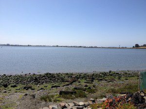 Eastern shore of Alameda island