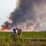 dominican_republic_cane_burn