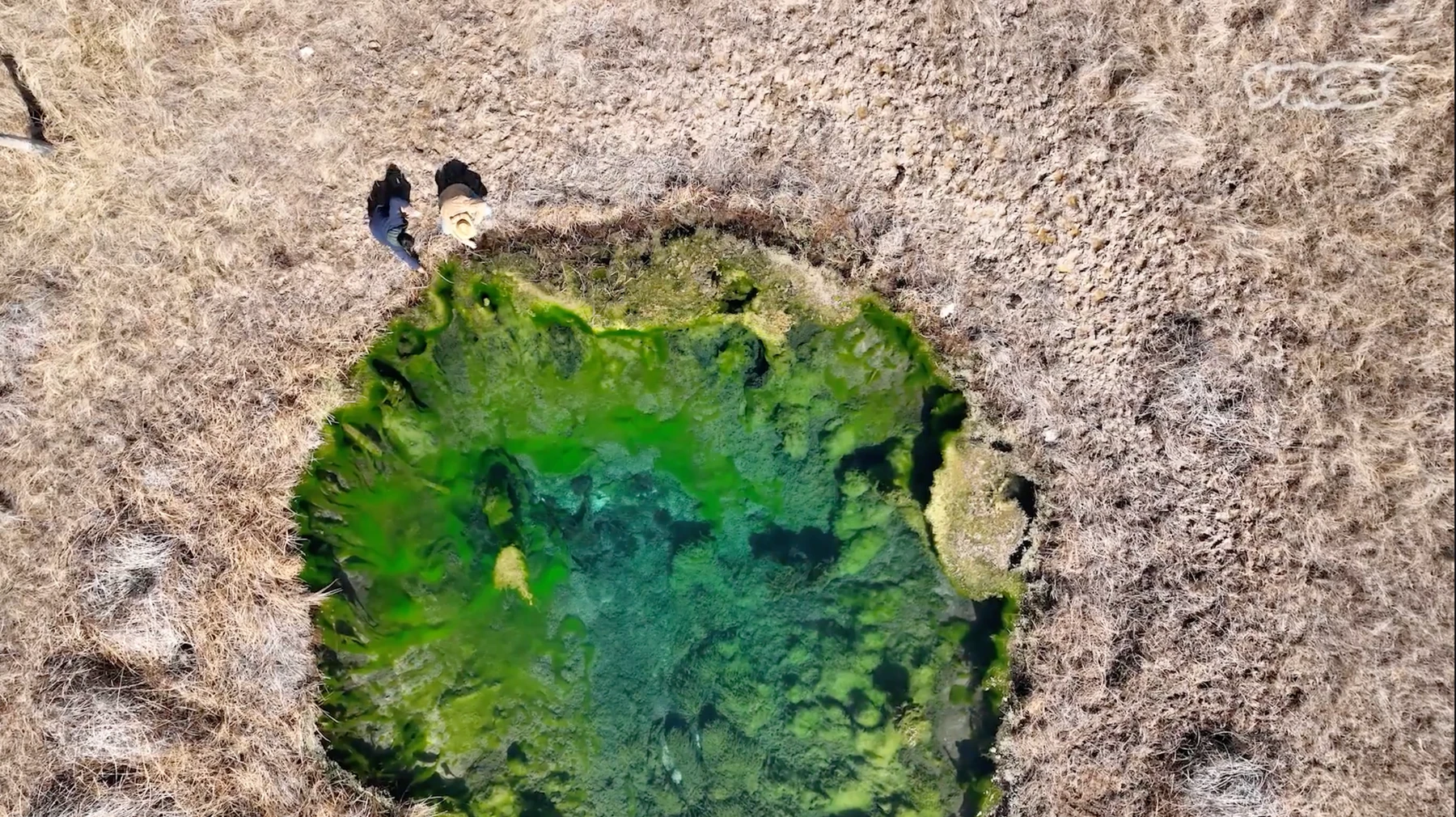 The rush for lithium is on, but grantee finds few mines will actually ...
